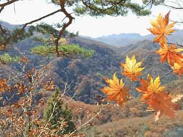 热镀锌格栅板 第11页