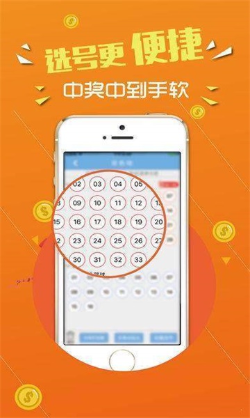 新澳门王中王100%期期中,正确解答落实_专业版78.119