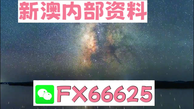 新澳天天彩免费资料2024老,重要性说明方法_3DM38.313