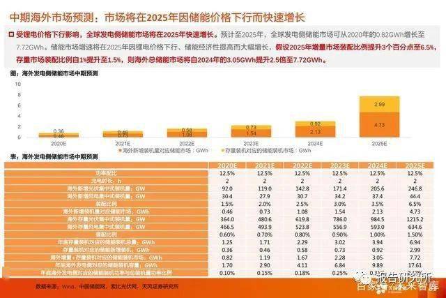 2024新澳最新开奖结果查询,经济性执行方案剖析_Lite46.51