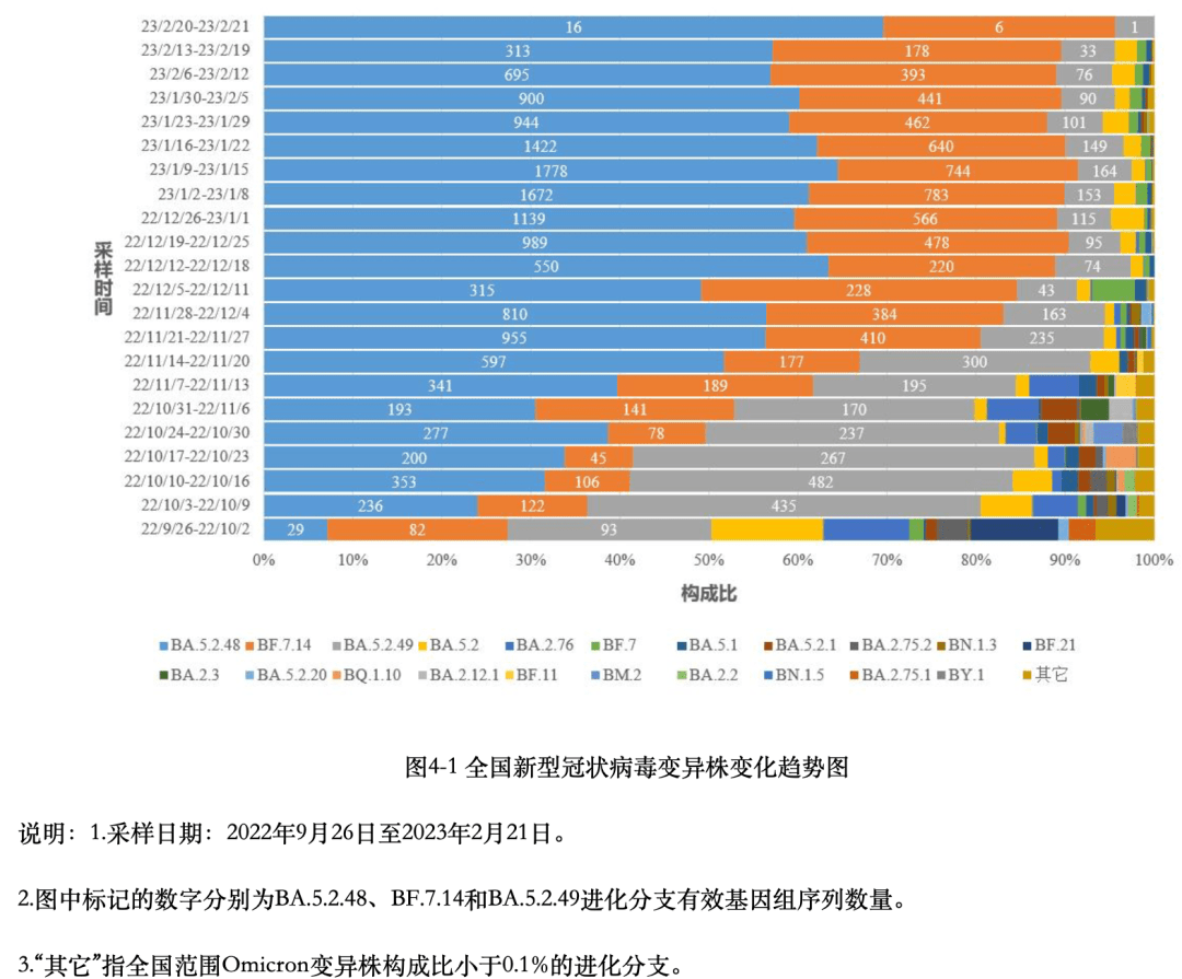 2024年11月份新病毒,实际数据说明_tShop54.874